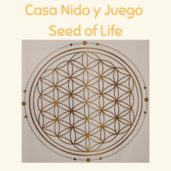 Casa Nido y Juego Seed of Life